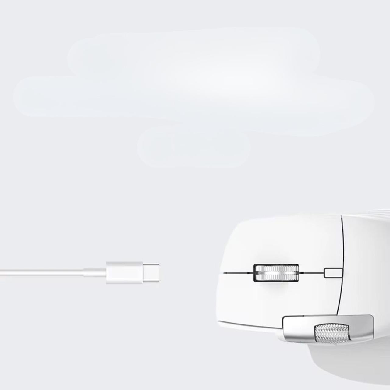 ErgoMouse